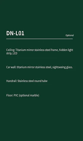 DN-L01